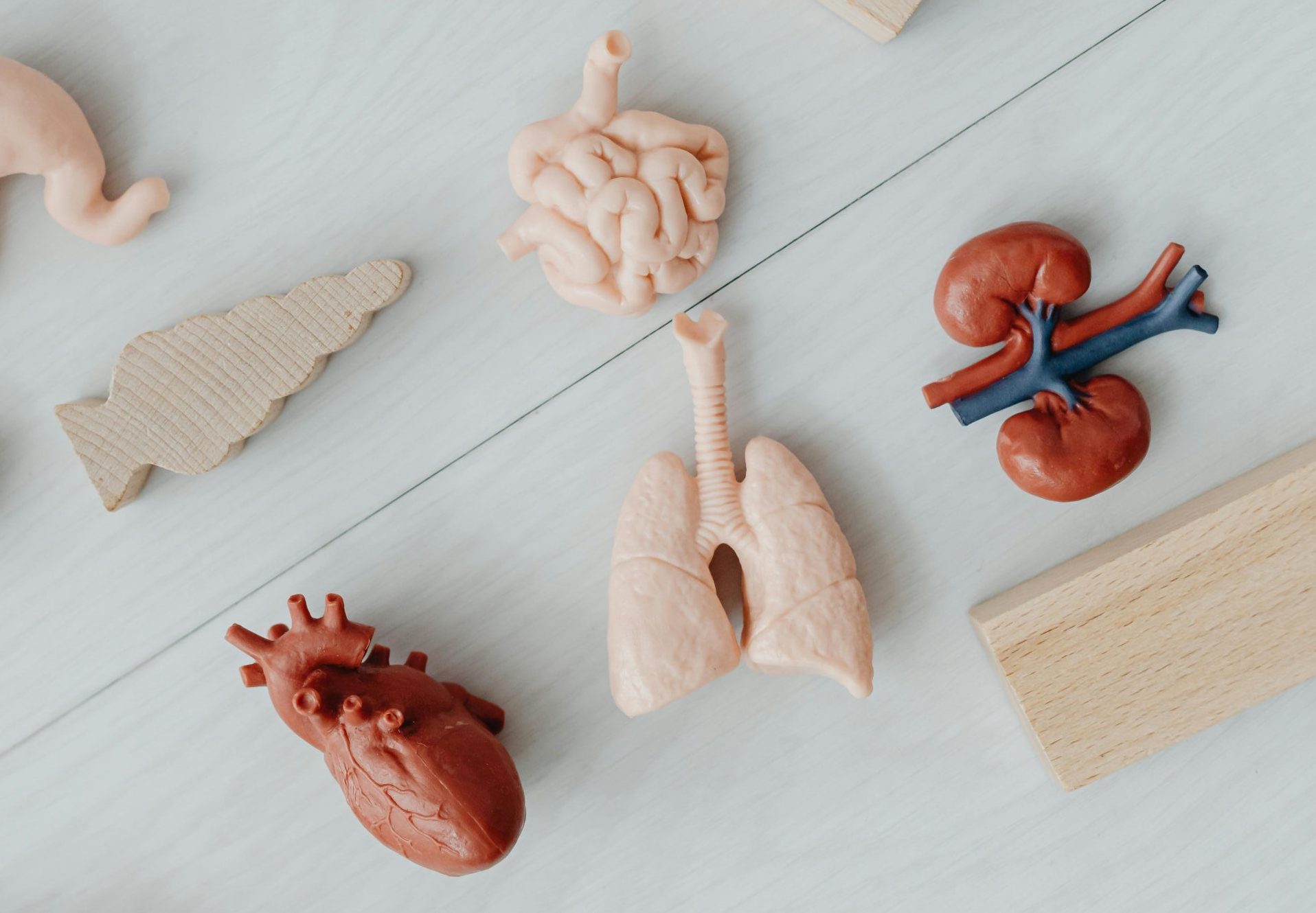 Better Together: Combining Drugs for Heart and Kidney Health