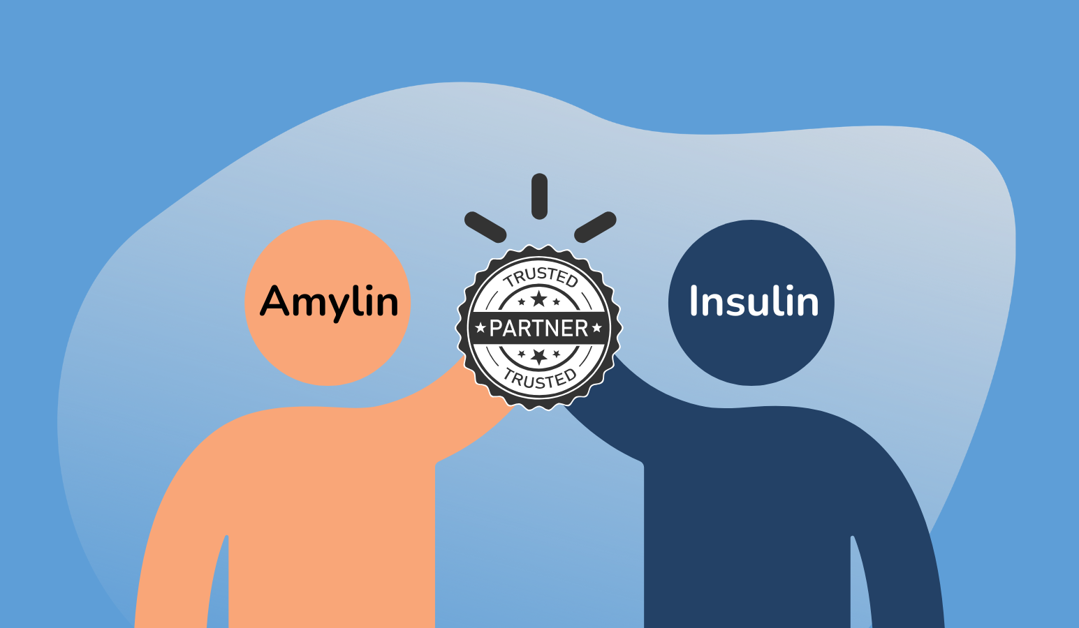 Amylin – Insulin’s Less-Discussed Partner